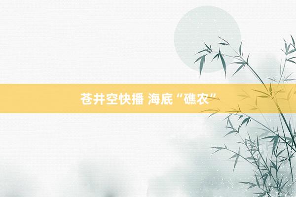 苍井空快播 海底“礁农”