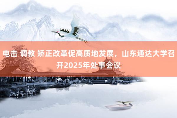 电击 调教 矫正改革促高质地发展，山东通达大学召开2025年处事会议