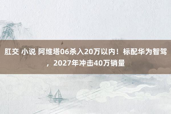 肛交 小说 阿维塔06杀入20万以内！标配华为智驾，2027年冲击40万销量