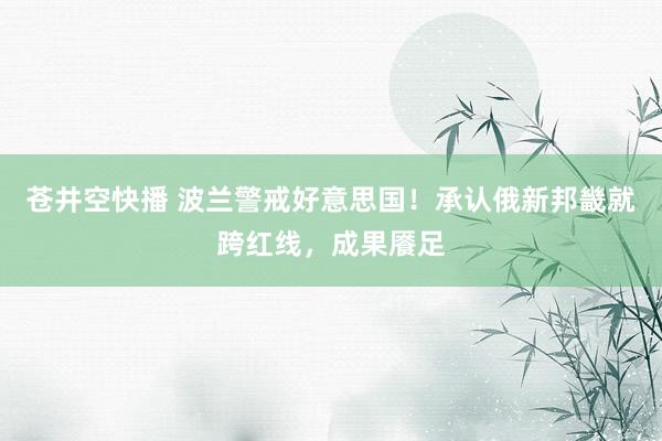 苍井空快播 波兰警戒好意思国！承认俄新邦畿就跨红线，成果餍足